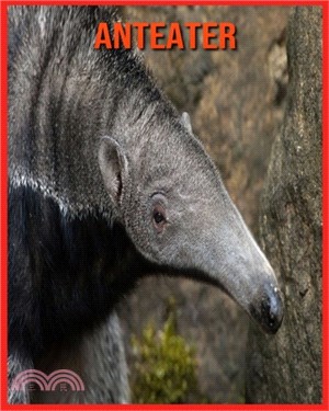 Anteater: Amazing Facts about Anteater