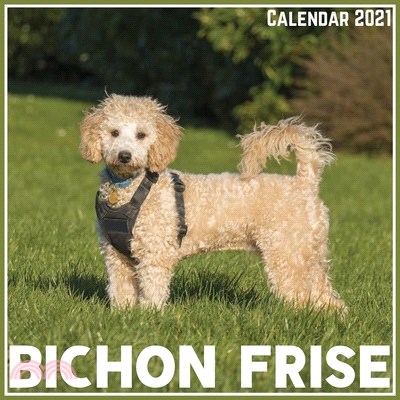 Bichon Frise Calendar 2021: Official Bichon Frise Calendar 2021, 12 Months