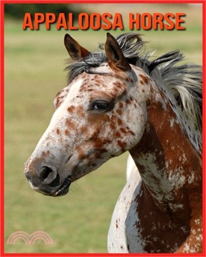 Appaloosa Horse: Fascinating Appaloosa Horse Facts for Kids with Stunning Pictures!