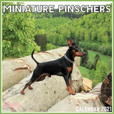 Miniature Pinschers Calendar 2021: Official Miniature Pinschers Calendar 2021, 12 Months