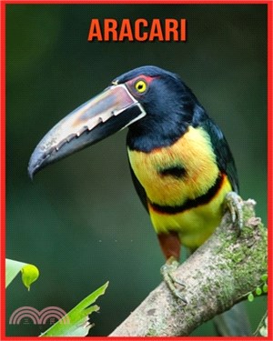 Aracari: Amazing Facts about Aracari