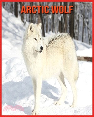 Arctic wolf: Beautiful Pictures & Interesting Facts Children Book About Arctic wolf