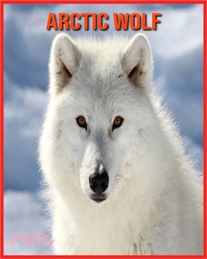 Arctic wolf: Amazing Facts about Arctic wolf