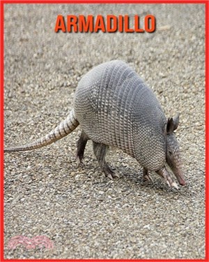 Armadillo: Amazing Pictures and Facts About Armadillo