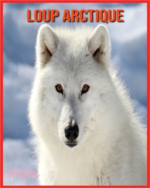 Loup Arctique: Informations Intéressantes Concernant les Loup Arctique