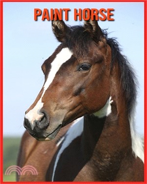 Paint Horse: Images et Informations Etonnantes Concernant les Paint Horse