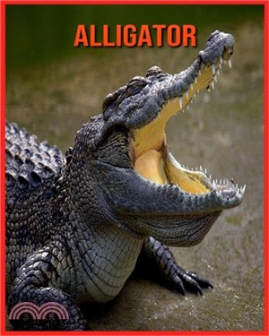 Alligator: Erstaunliche Fakten über Alligator