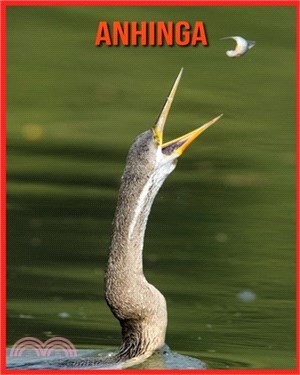 Anhinga: Erstaunliche Fakten über Anhinga