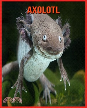 Axolotl: Faszinierende Axolotl Fakten für Kinder mit atemberaubenden Bildern!