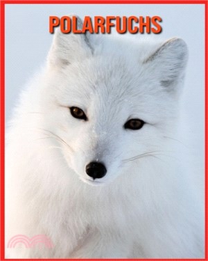 Polarfuchs: Faszinierende Polarfuchs Fakten für Kinder mit atemberaubenden Bildern!