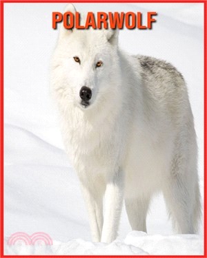 Polarwolf: Faszinierende Polarwolf Fakten für Kinder mit atemberaubenden Bildern!