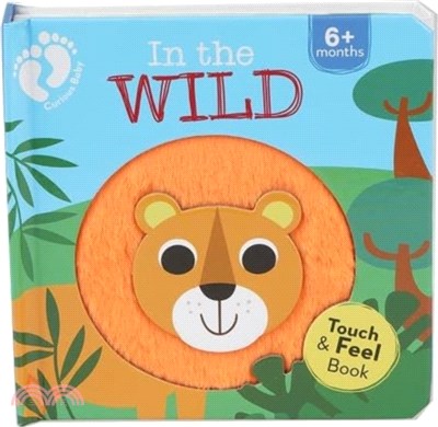 In The Wild (Curious Baby Touch And Feel)