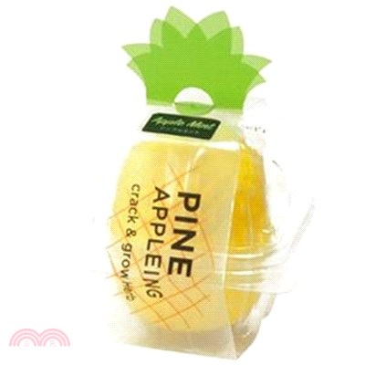 【聖新陶芸】Pineappleing鳳梨造型植物栽培組-薄荷
