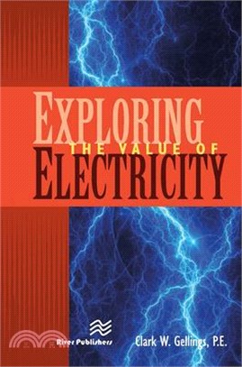 Exploring the Value of Electricity