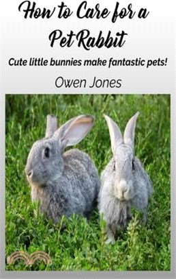 How To Care For A Pet Rabbit: Cute Little Bunnies Make Fantastic Pets!