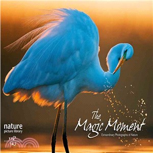 The Magic Moment ─ Extraordinary Photographs of Nature