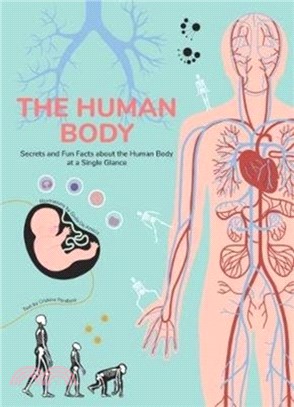 Human Body：Secrets and Fun Facts About the Human Body at a Single Glance