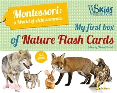 My First Flash Cards Box: Discovering Forest Animals - Montessori World of Achievements