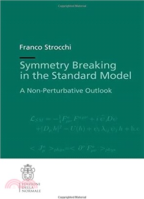 Symmetry Breaking in the Standard Model：A Non-Perturbative Outlook