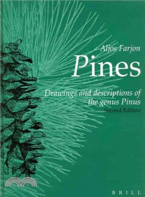Pines ─ Drawings And Descriptions Of The Genus Pinus