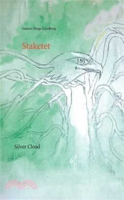 Staketet: SilverCloud