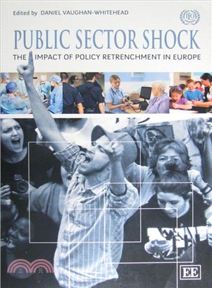 Public sector shock :the imp...