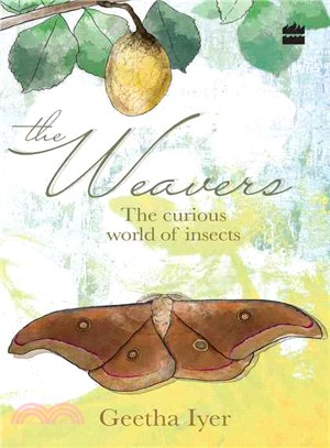 The Weavers ─ The Curious World of Insects