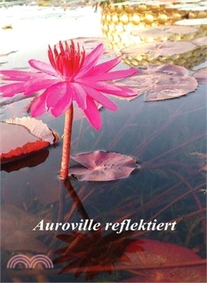 Auroville reflektiert