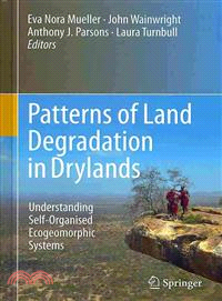 Patterns of Land Degradation in Drylands ― Understanding Self-organised Ecogeomorphic Systems