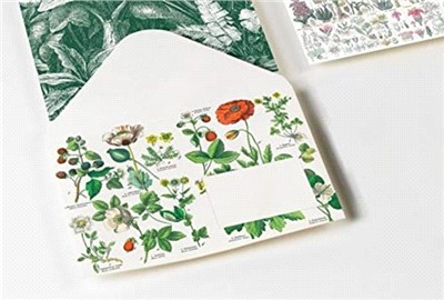 Botanical：Envelopes (C6)