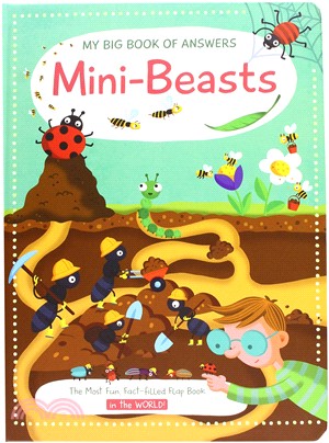 My Big Book Of Answers: Mini Beasts