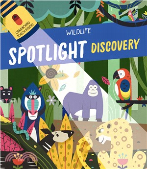 Spotlight discovery : wildlife