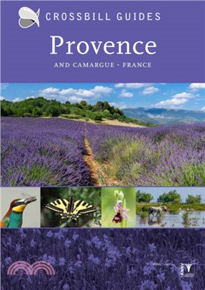 Provence：And Camargue, France