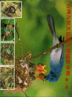 台灣鳥類及昆蟲生態攝影專輯第一卷