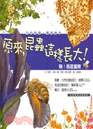 原來，昆蟲這樣長大！：嗨！我是蜜蜂 | 拾書所