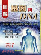 圖解基因與DNA /