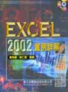 EXCEL 2002實例詳解