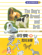 愛犬飼養與訓練－生活休閒08