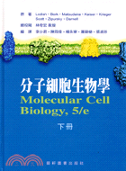 分子細胞生物學（下冊）