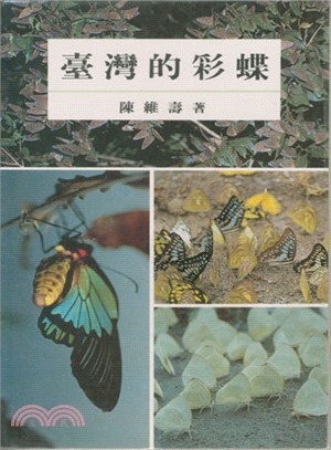 臺灣的彩蝶