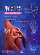 解剖學：觸診與表面標記