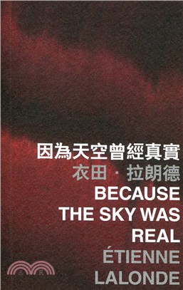 因為天空曾經真實 =Because the sky wa...