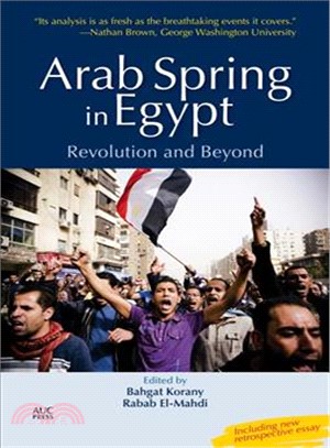 Arab Spring in Egypt ― Revolution and Beyond