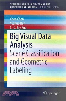 Big visual data analysisscen...