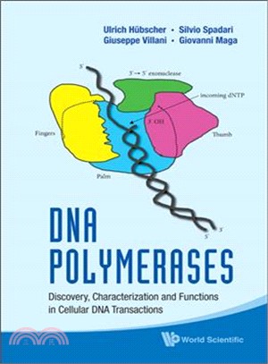 DNA Polymerases ─ Discovery, Characterization and Functions in Cellular DNA Transactions