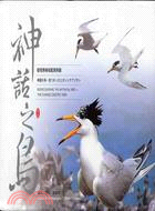 神話之鳥 =REDISCOVERING THE MYTHICAL BIRD-THE CHINESE CRESTED TERN : 發現黑嘴端鳳頭燕鷗 /