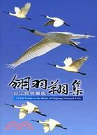 翎羽翔集 :台江野鳥圖鑑 = A field guide to the birds of Taijiang National Park /