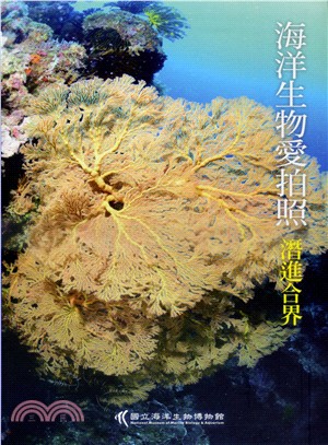 海洋生物愛拍照：潛進合界