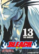 BLEACH 死神13