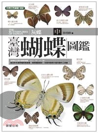 臺灣蝴蝶圖鑑（中）灰蝶